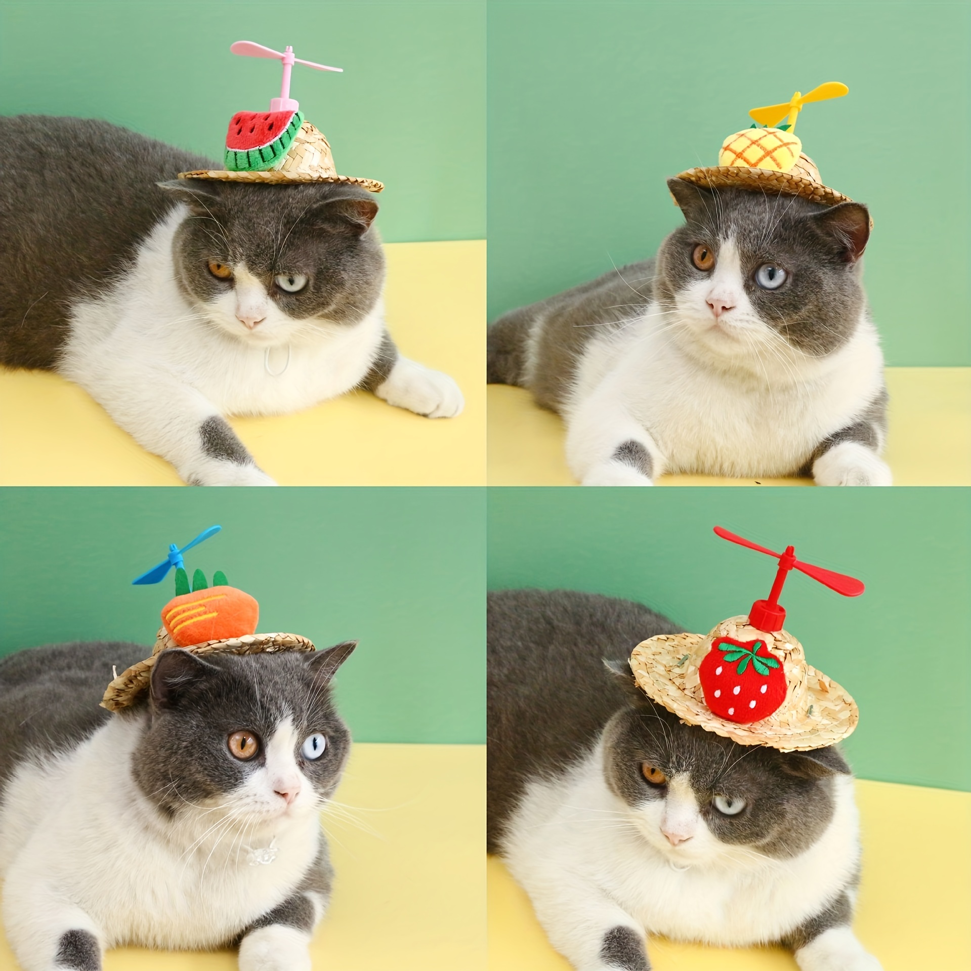 Cute Straw Hat Design - Pet Clever