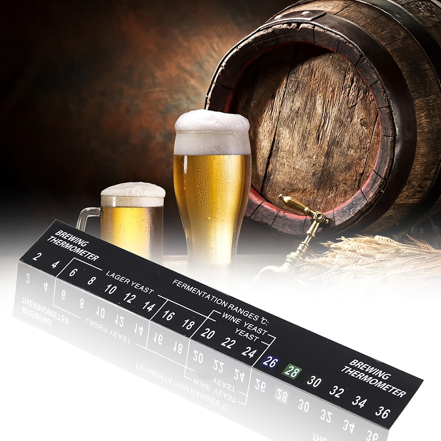 Digital Thermometer for Beer Brewing