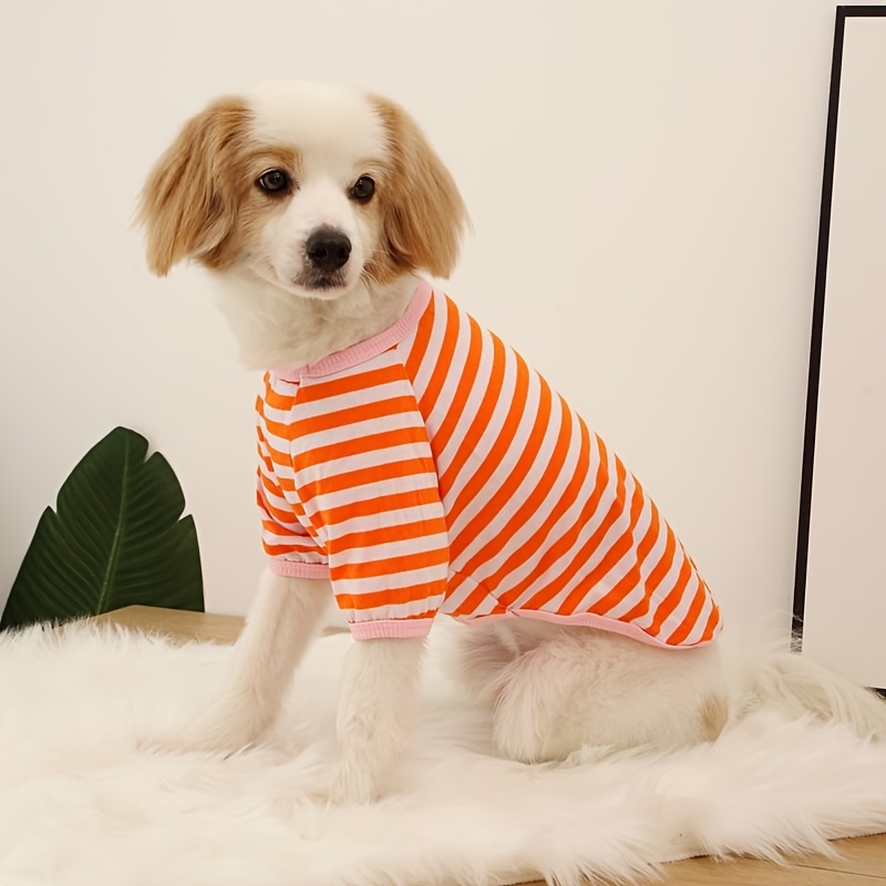 Striped dog cheap shirt