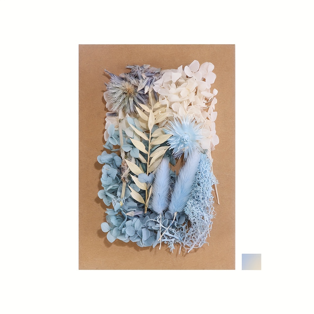 1bag Colorful Natural Dried Flowers Diy Jewelry Accessories - Temu