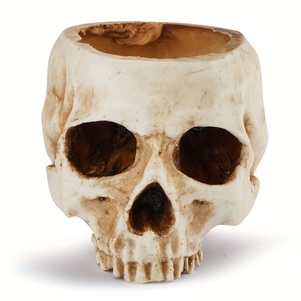 Brain Cacti in Ceramic Skull