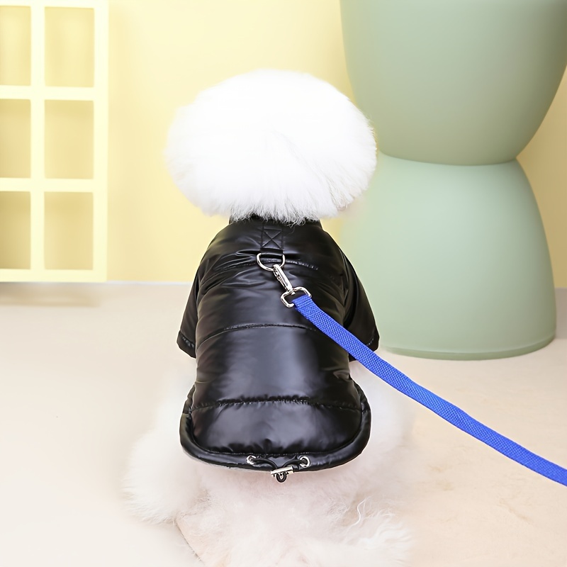 Dog coat outlet with umbrella