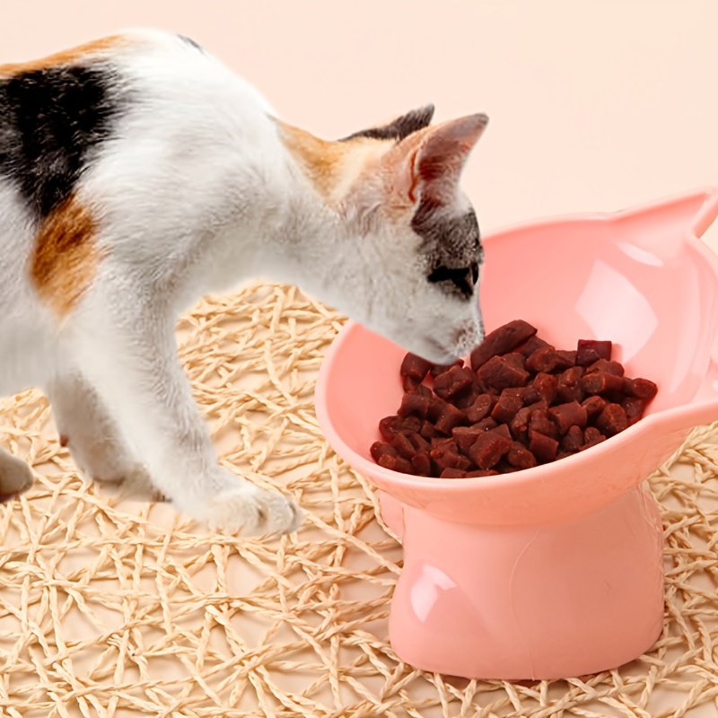 Elevated Cat Food Bowl With Neck Protection And Slanted - Temu