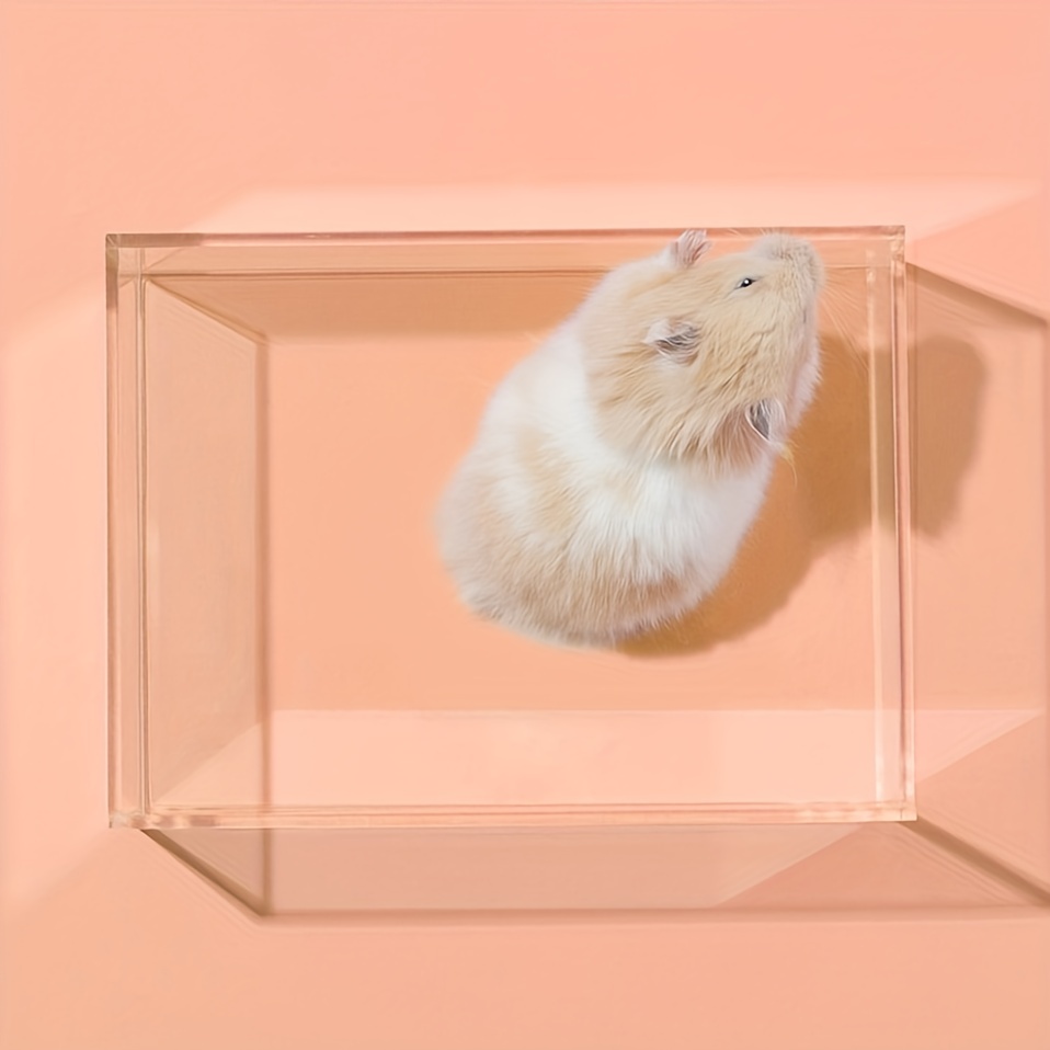 Petit Hamster Salle De Bain Toilette Acrylique Transparent - Temu France