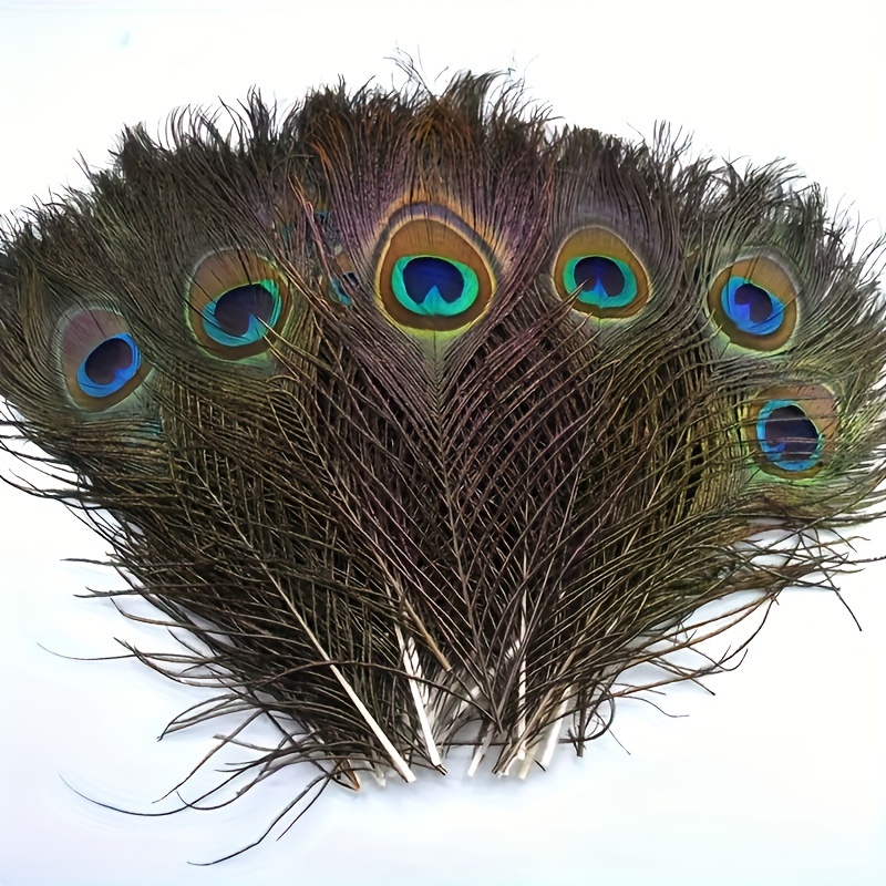 PLUMAS DECORATIVAS - plumas de pavo real. DECORATIVE FEATHERS 