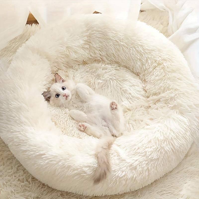 Gatti Cuscini per dormire, gatto adorabile cuscino accogliente, morbido  caldo peluche sonno collo supporto accogliente gattino cuscino forniture  per