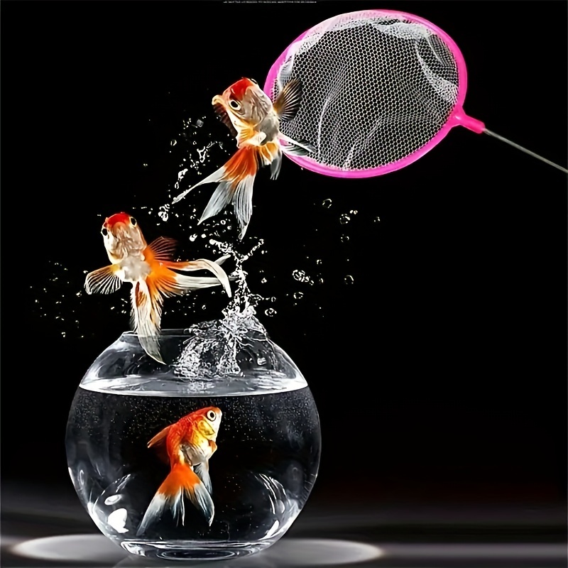 Aquarium Net Fine Mesh Small Fish Catch Nets With Braided Metal Handle,  Fish Catch Nets Square Net