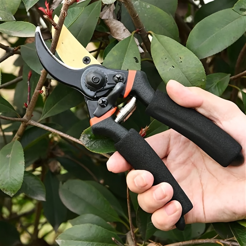 Cutting + Pruning Tools