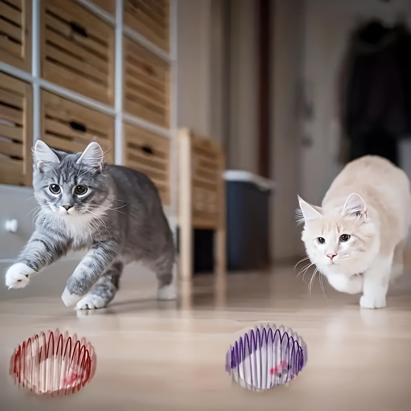 Interactive Cat Toys: How to Keep Your Cat Entertained