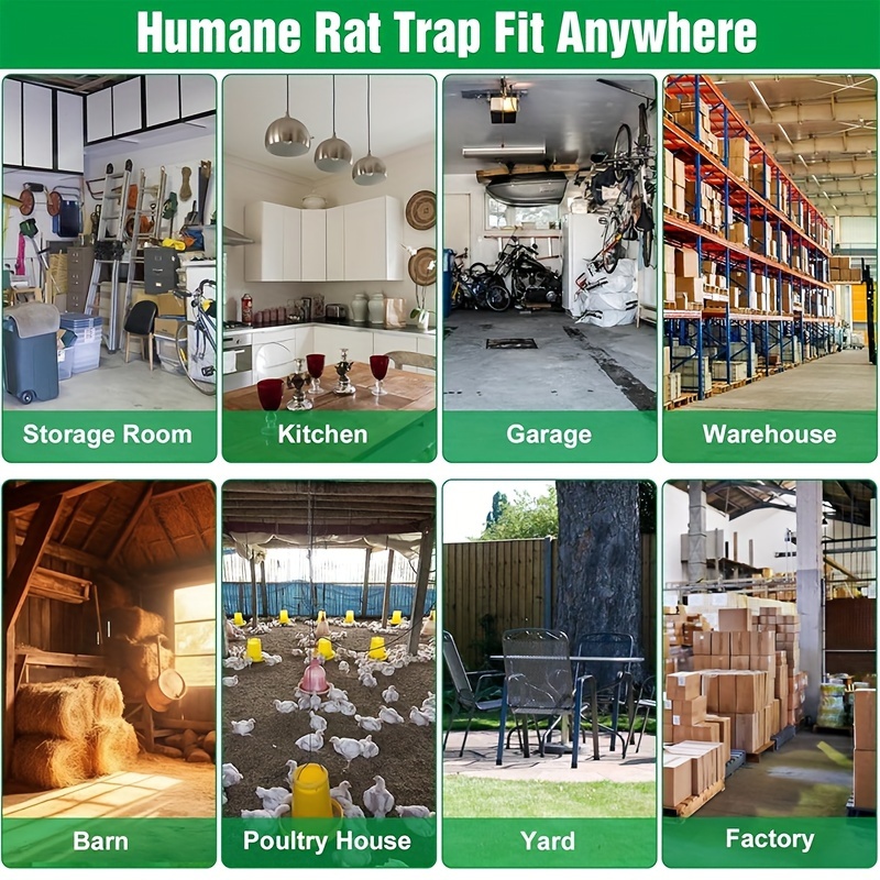 JGRZF Quality Rat Trap, Humane Live Animal Mouse Cage Traps, Catch and  Release Mice, Rats,Chipmunk, Pests, Rodents and Similar Sized Pests for  Indoor