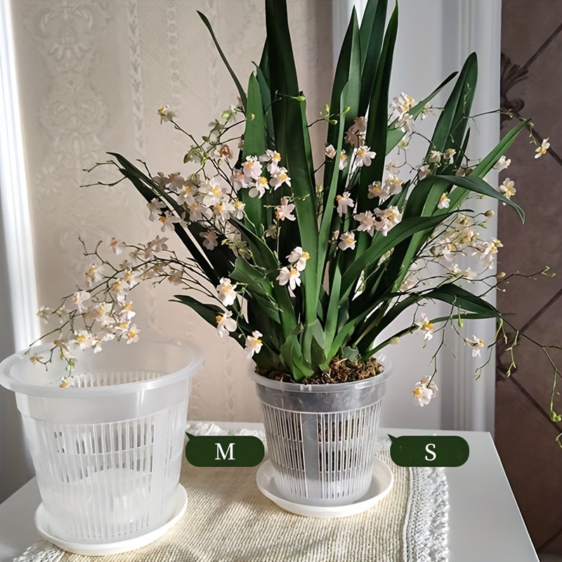 10 Vasi per Orchidee Diametro 12cm - Consegna in 48H
