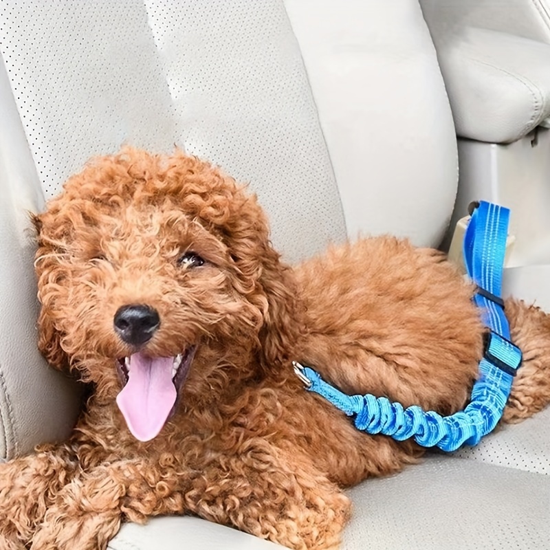 Dog Safety Seat Belt with Elastic Bungee Buffer –