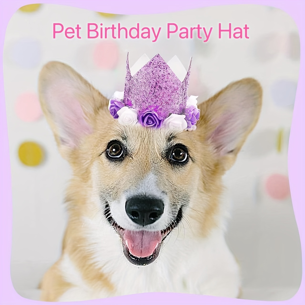 Chapeau couronne anniversaire chien