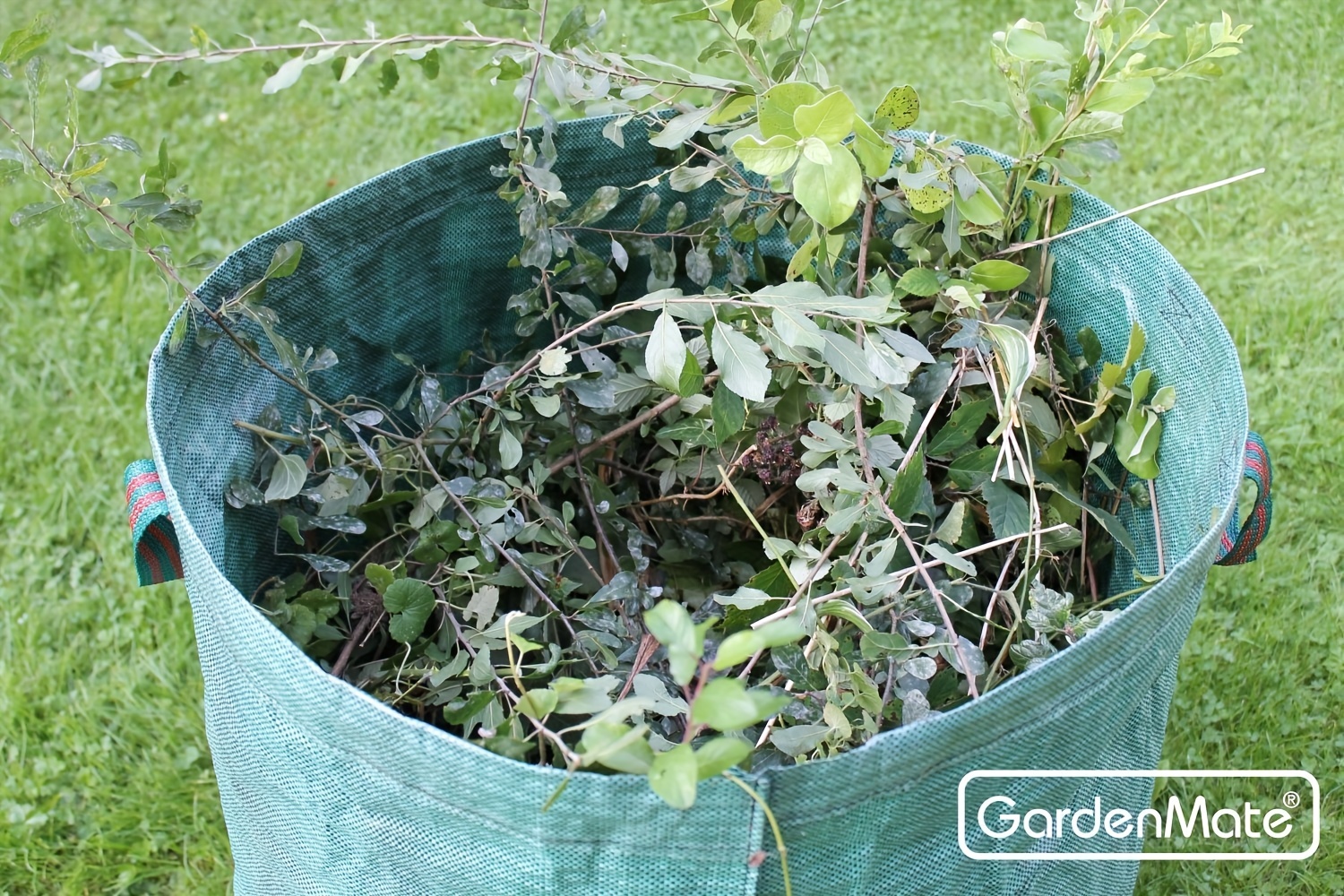 Leaf Bags+ Gloves, Garden Leaf Bags, Heavy Duty Garden Garbage Bag With  Handle, Green Garden Trash Bag, Reusable And Durable Garden Leaf Storage Bag,  Yard Waste Bags, Halloween Pumpkin Leaf Bags, Cleaning