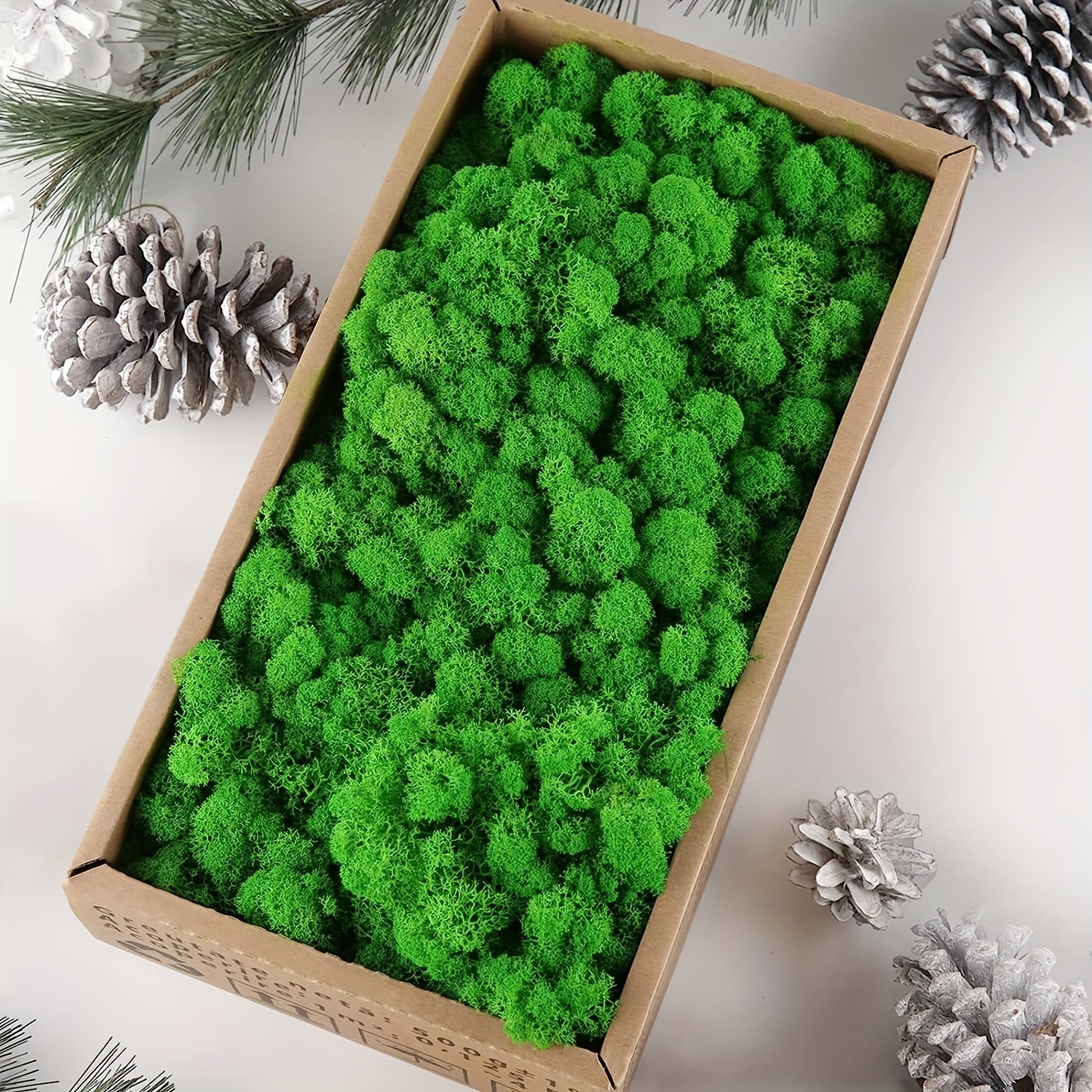 christmas potted garden decoration immortal natural dry moss wedding party  crafts floral background decoration moss immortal flower decoration  artificial 