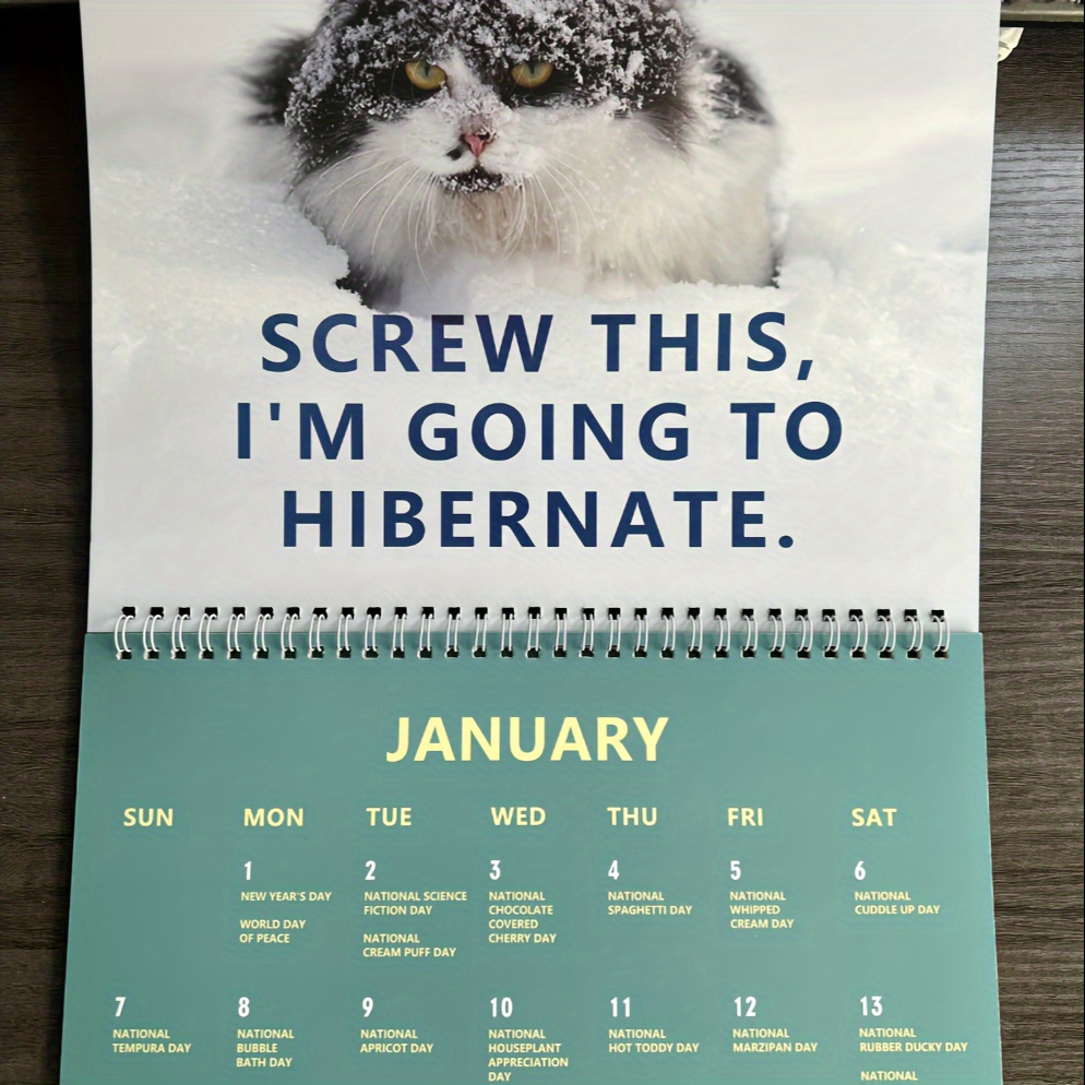 2024 Cute Cat Calendar Pissed off Cats Calendar Angry - Temu