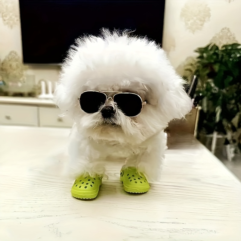 Dog Shoes - Temu