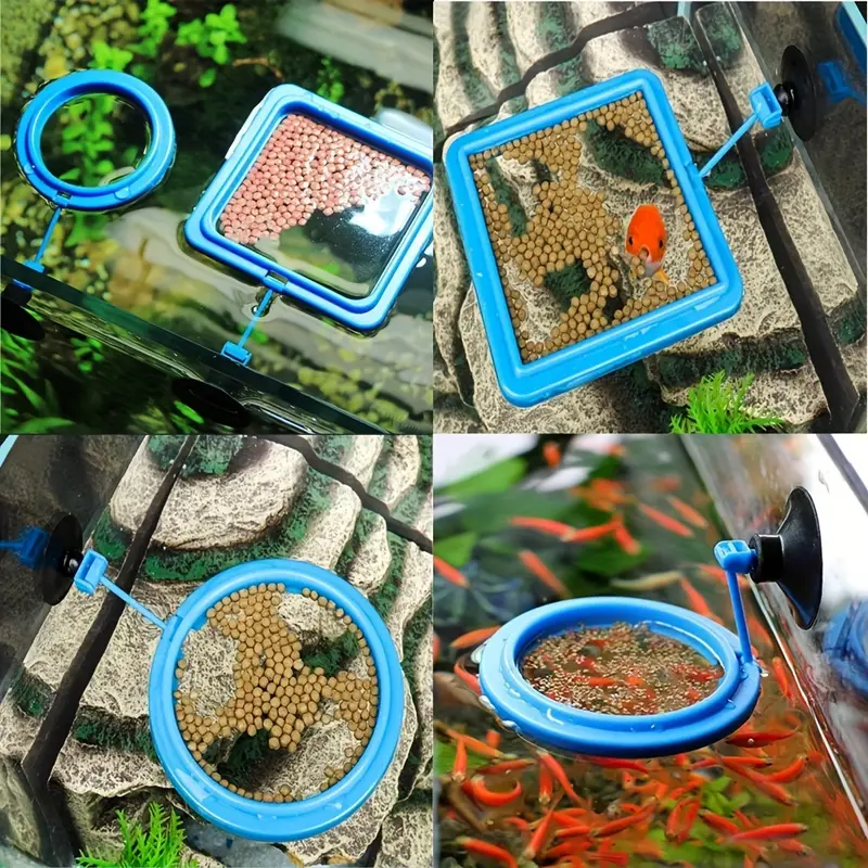 Aquarium Feeding Ring Fish Tank Station Floating Food Tray - Temu