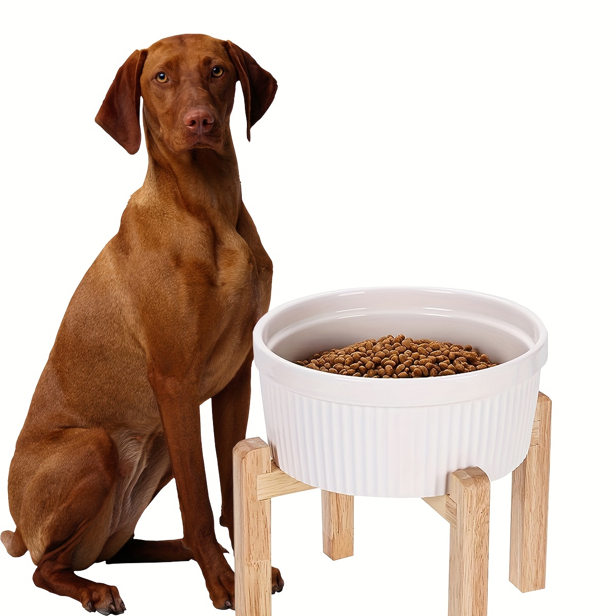 Elevated Dog Bowl Ceramic Raised Dog Food And Water Bowl - Temu