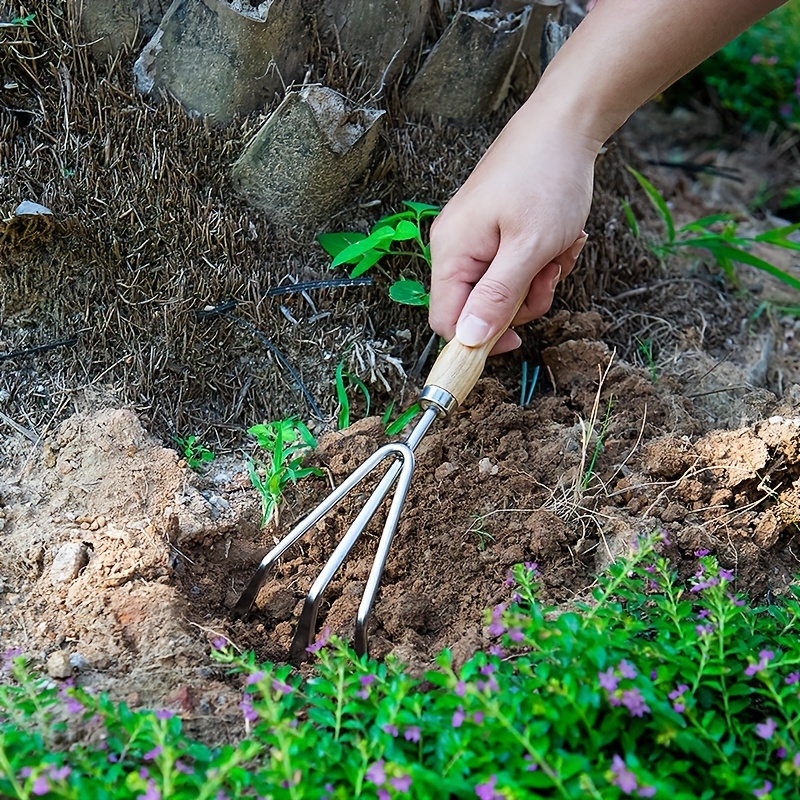 1 Pacco Set Cinque Pezzi Attrezzi Giardino In Acciaio - Temu Italy