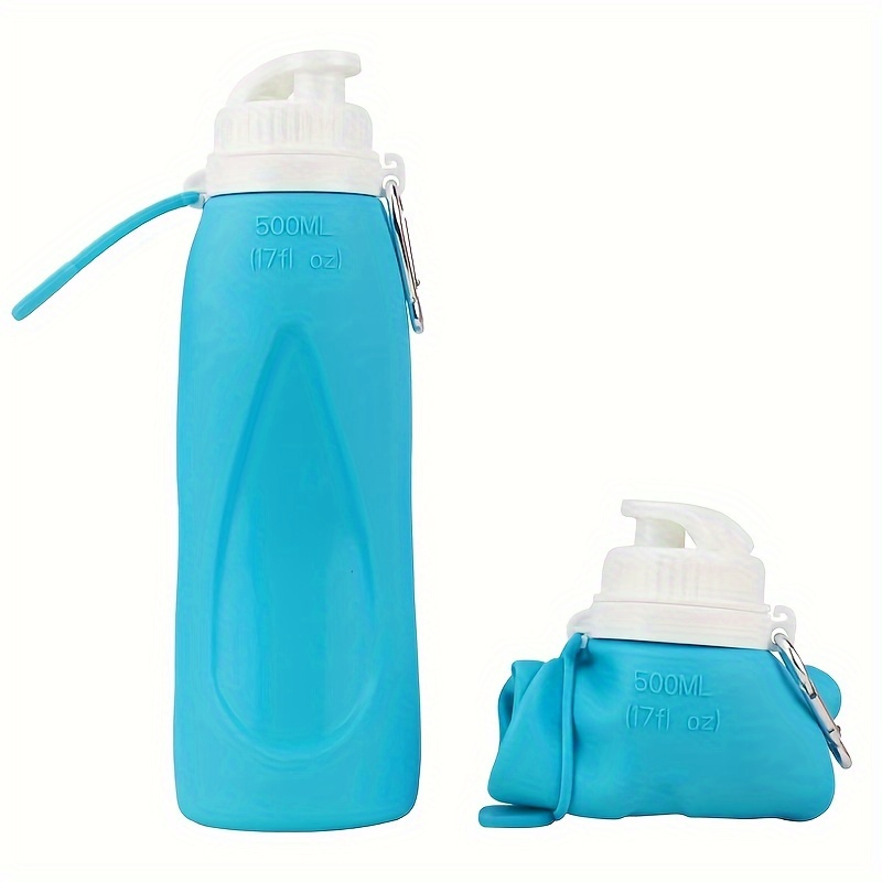 Water Bottle, 17 fl oz (500 ml )