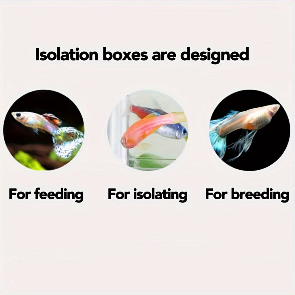 Fish Tank Isolation Box Small Fish Incubator Aquarium Fish - Temu