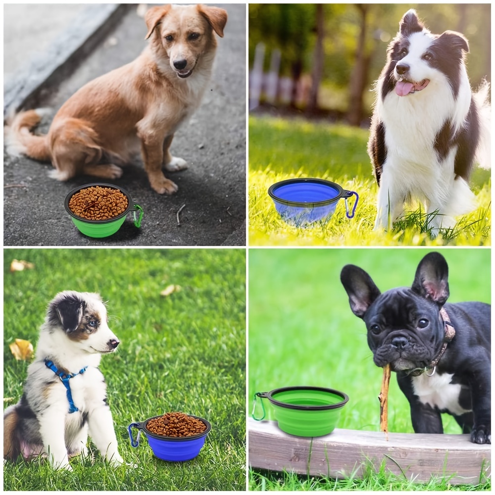 Philadelphia Eagles Collapsible Pet Bowl – 3 Red Rovers