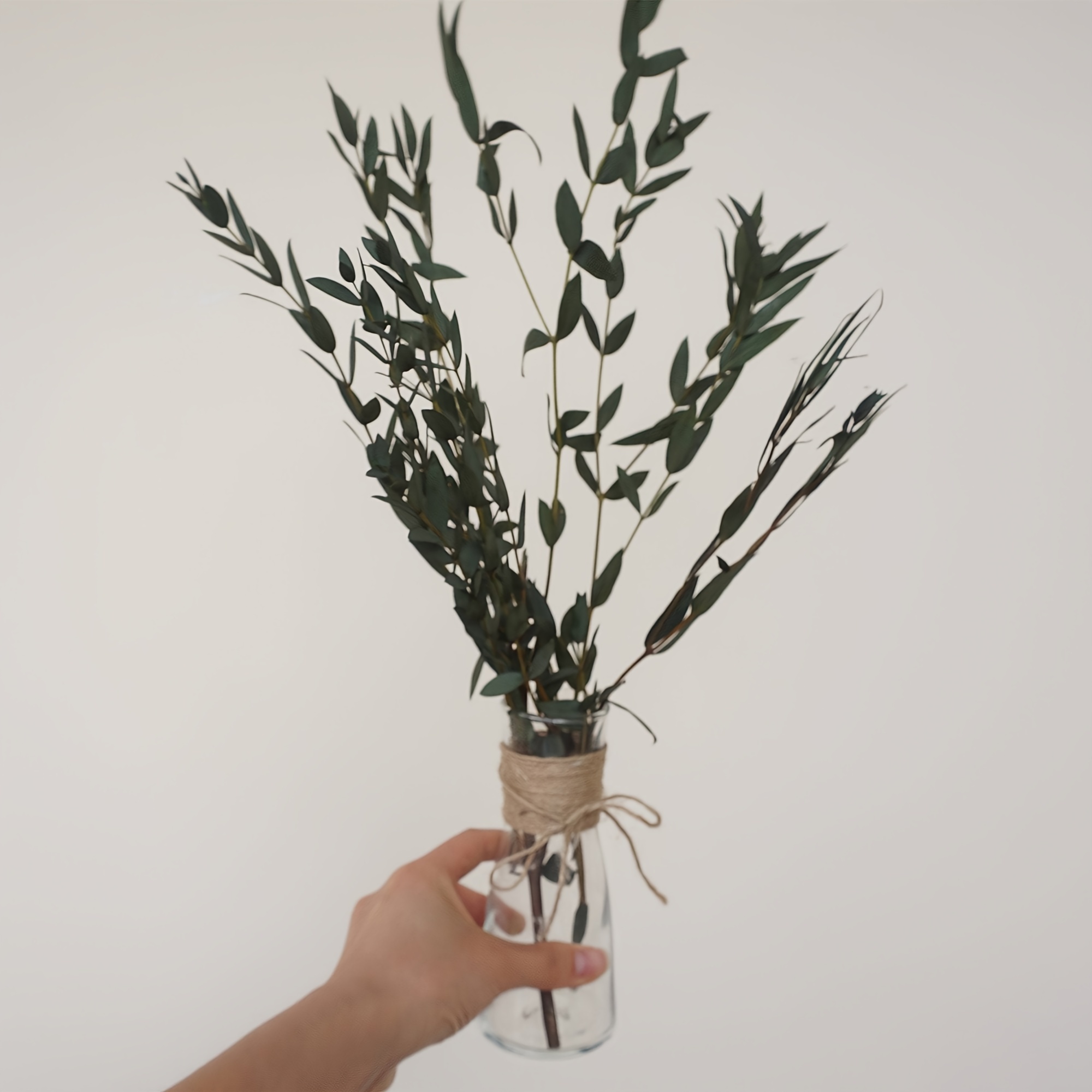 Olive Branches Greenery | Fresh Wedding Greenery | Flower Moxie