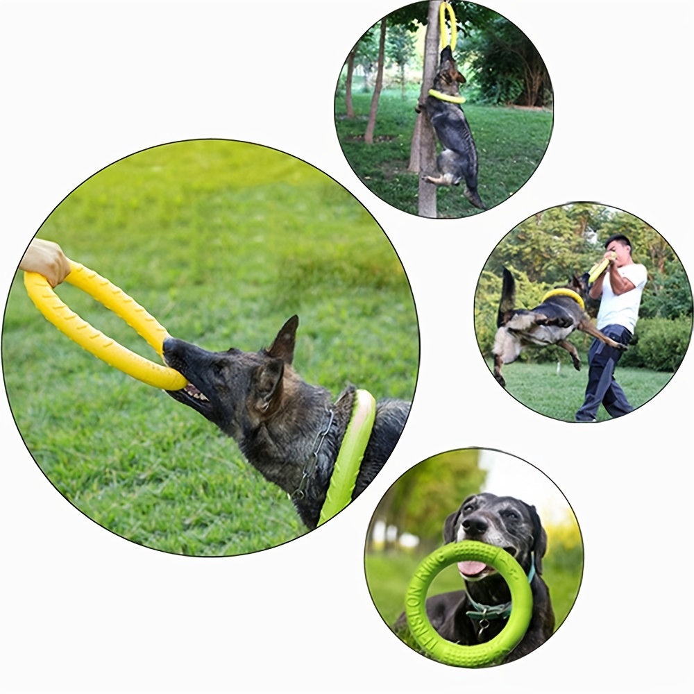 Dog Training Toys Outdoor Sport Flying Disc Interactive Pet Toy