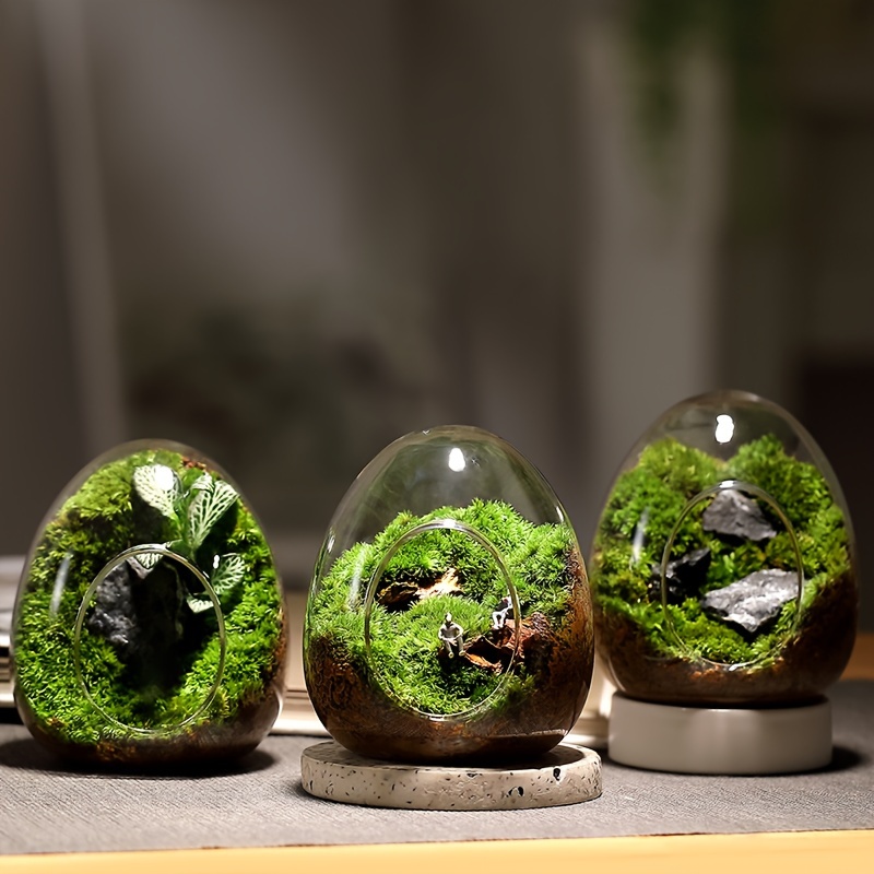 Copper Jar Mossarium Kit Moss Terrarium Kit With Vintage Style Glass Jar  Great Gift for Plant Lovers -  Canada