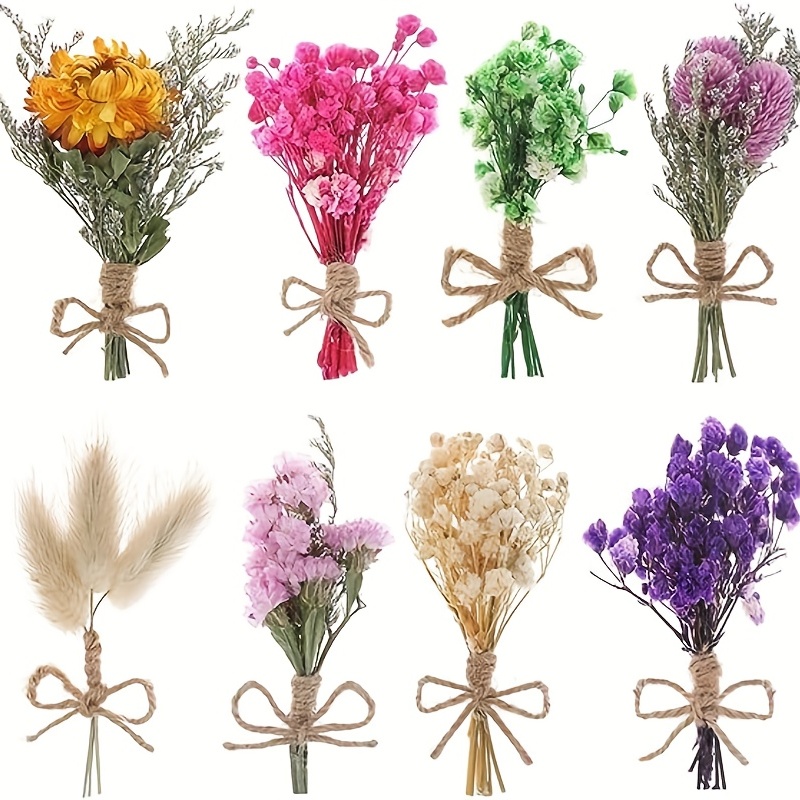300 Stems Dried Flowers Brazilian Small Star Daisy Decorative Dried Flowers  Colorful Natural Dry Flower Bouquet Mini Flower Bouquet Daisy Chamomile