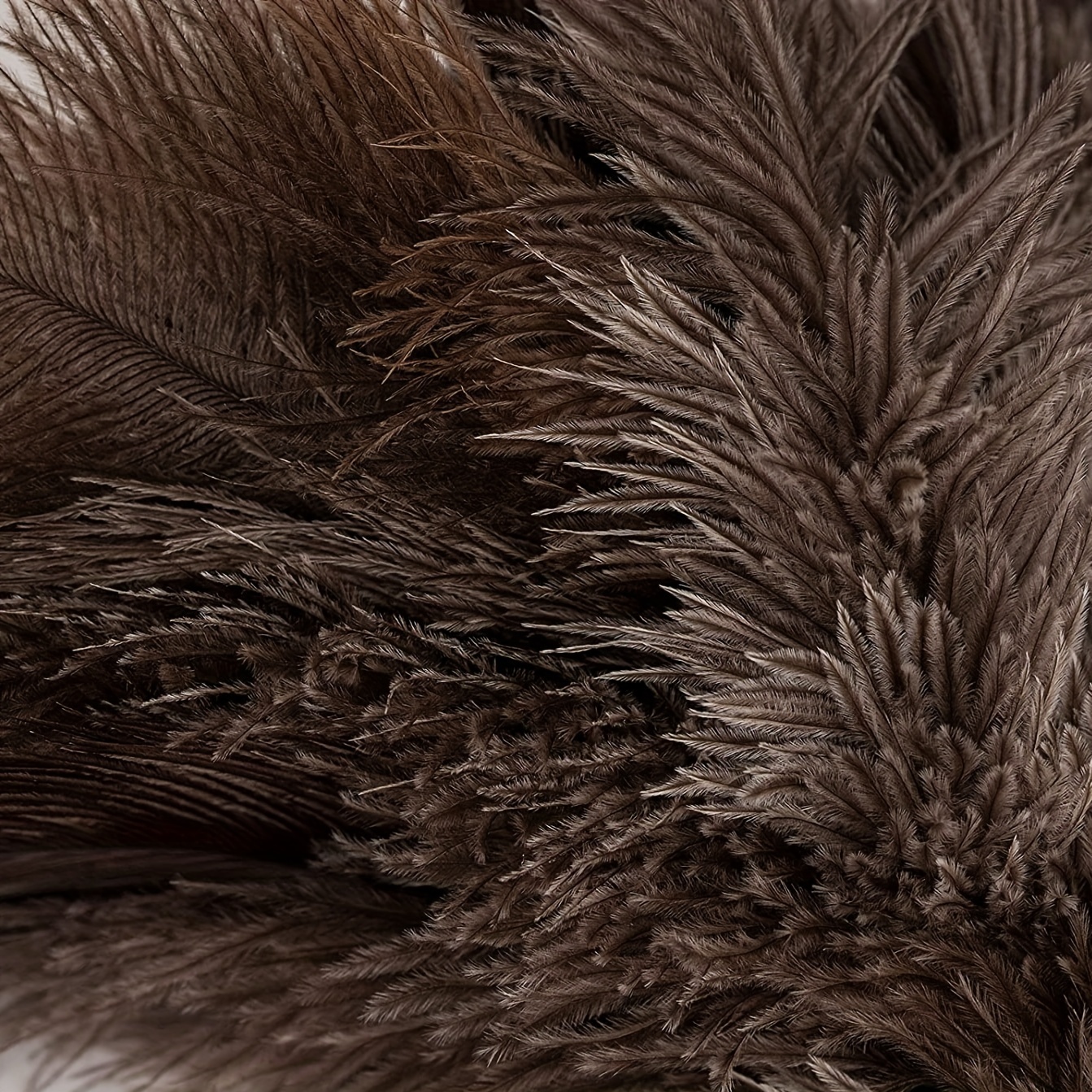 Tradineur - Plumero de plumas de avestruz 70 cm, mango de plástico