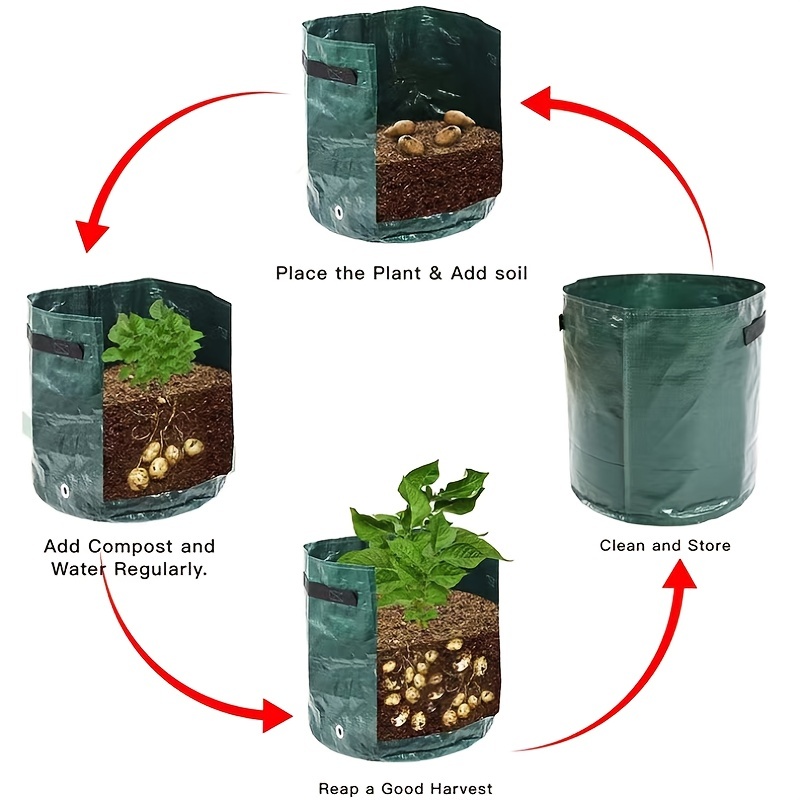 Start a Grow Bag Garden and Water It EASILY 