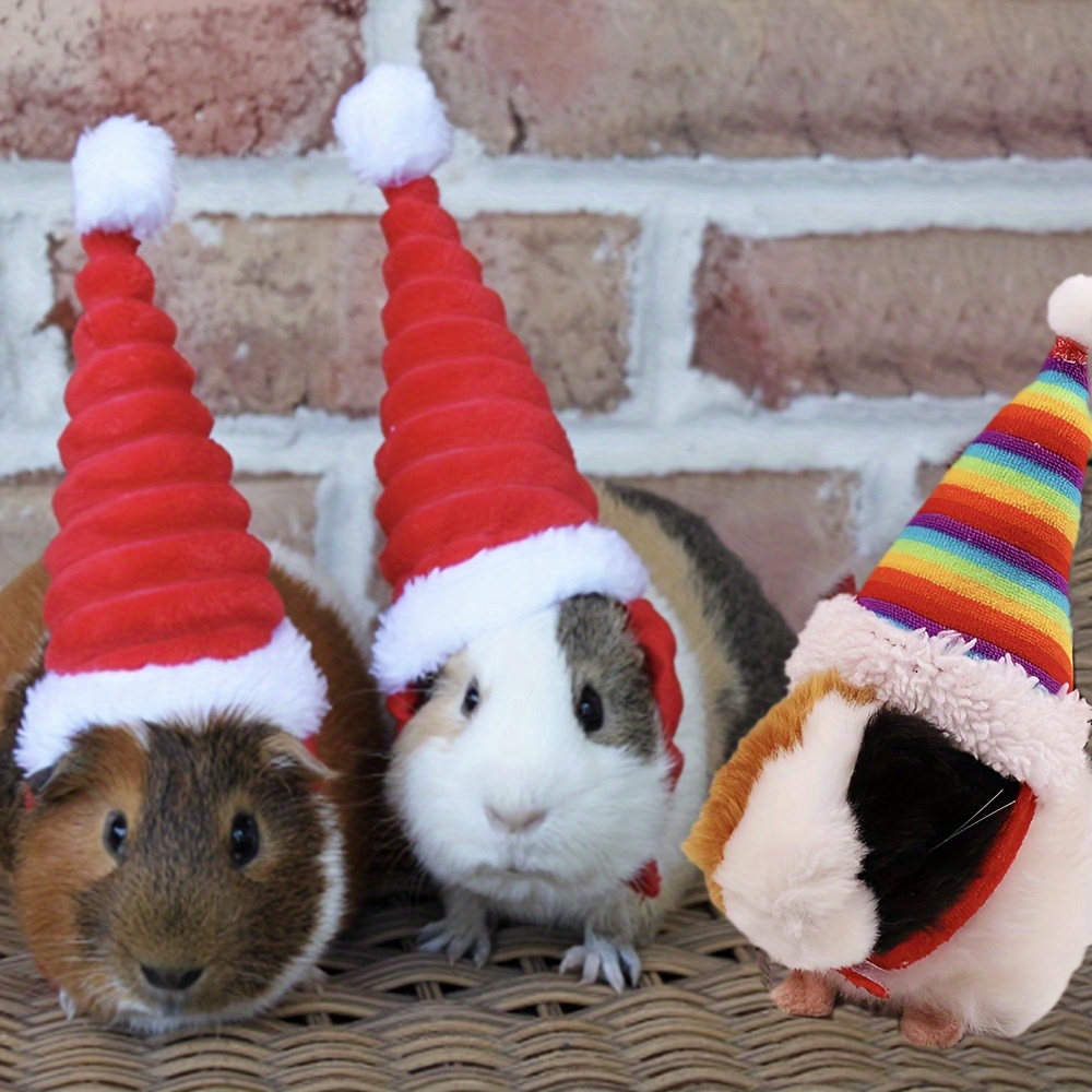 Guinea Pig Hat - Temu