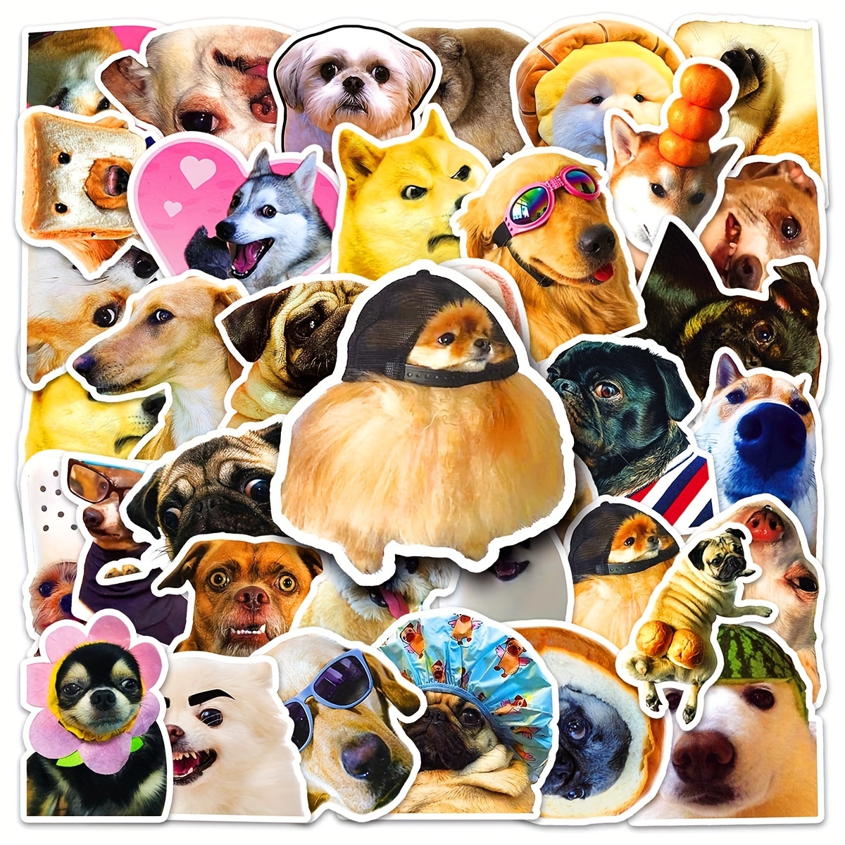 51 Stück Lustige Hunde meme aufkleber Niedliche Wasserfeste - Temu