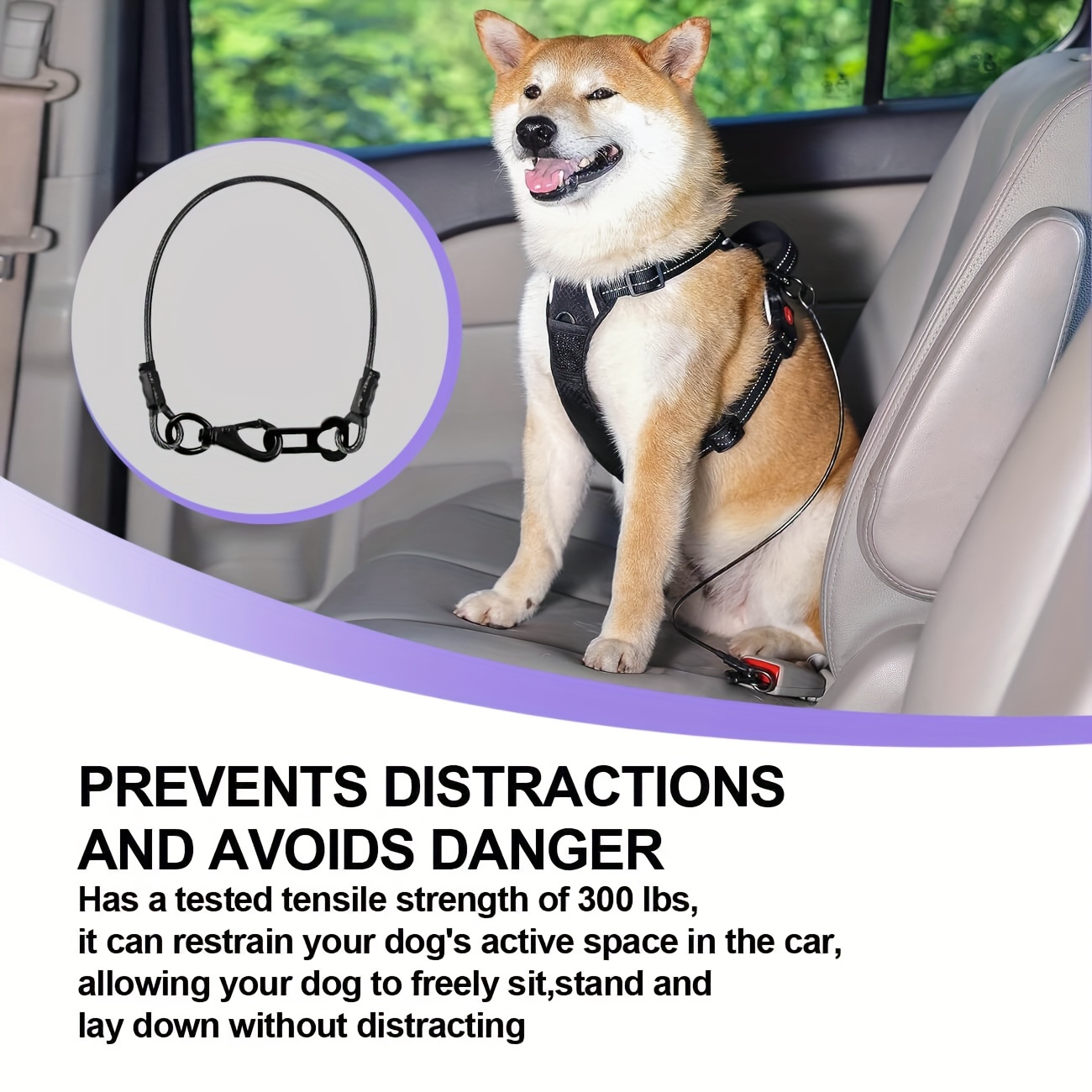 Chew proof dog seat sales belt