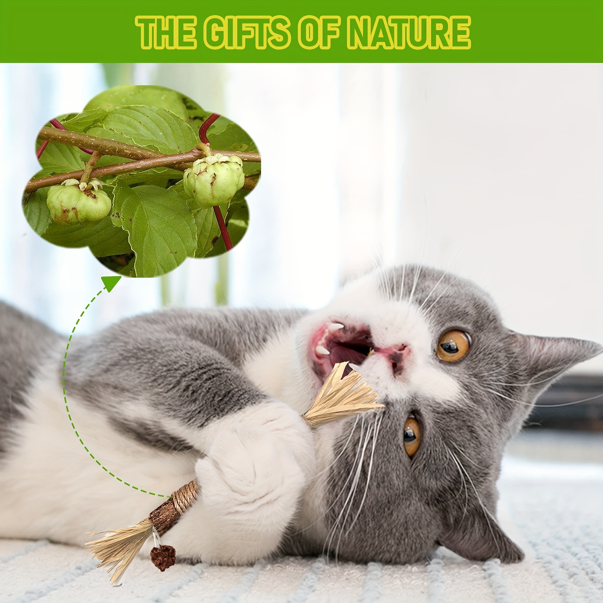 Silvervine Chew Stick: Natural Catnip Toy for Cleaning Teeth & Keeping Kittens Entertained!