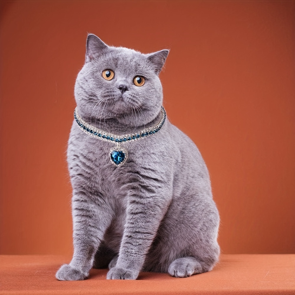 Jeweled 2024 cat collar