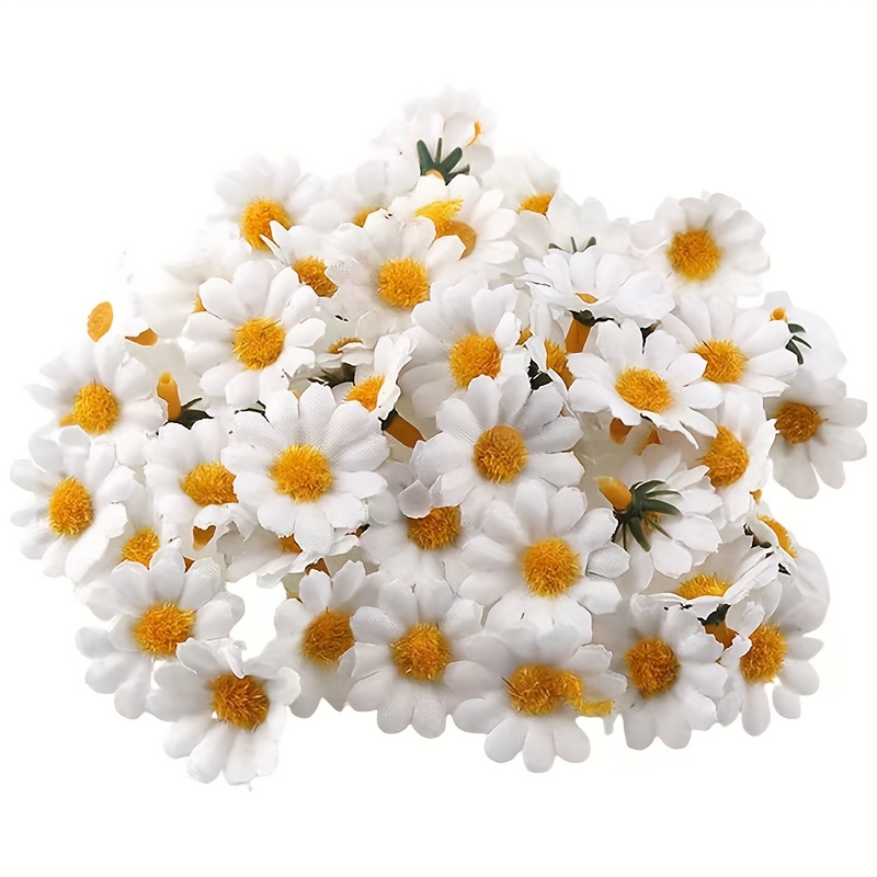 Natural Dry Flowers Brazilian Small Star Daisy Decor, Dried