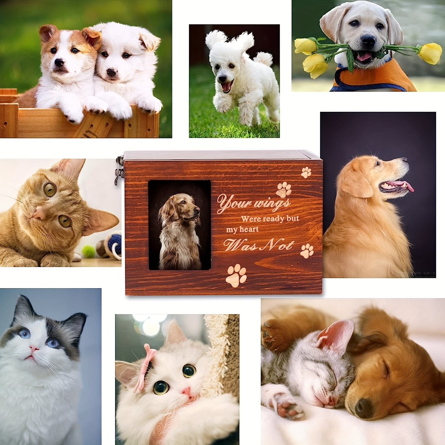 Urne pour animaux Navaris avec cadre photo - Pour chien ou chat