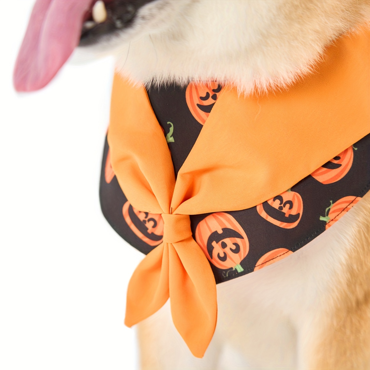 Orange Twilly Scarf for Dogs and Cats