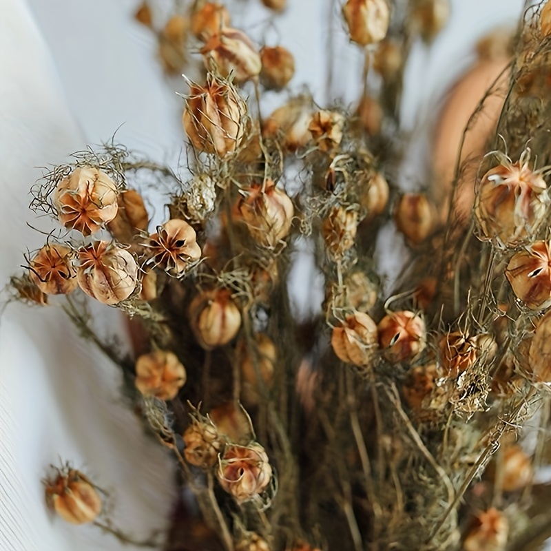 Mazzo di fiori secchi fiore essiccato della foresta piccoli fagioli bianchi  decorazione di nozze fai da