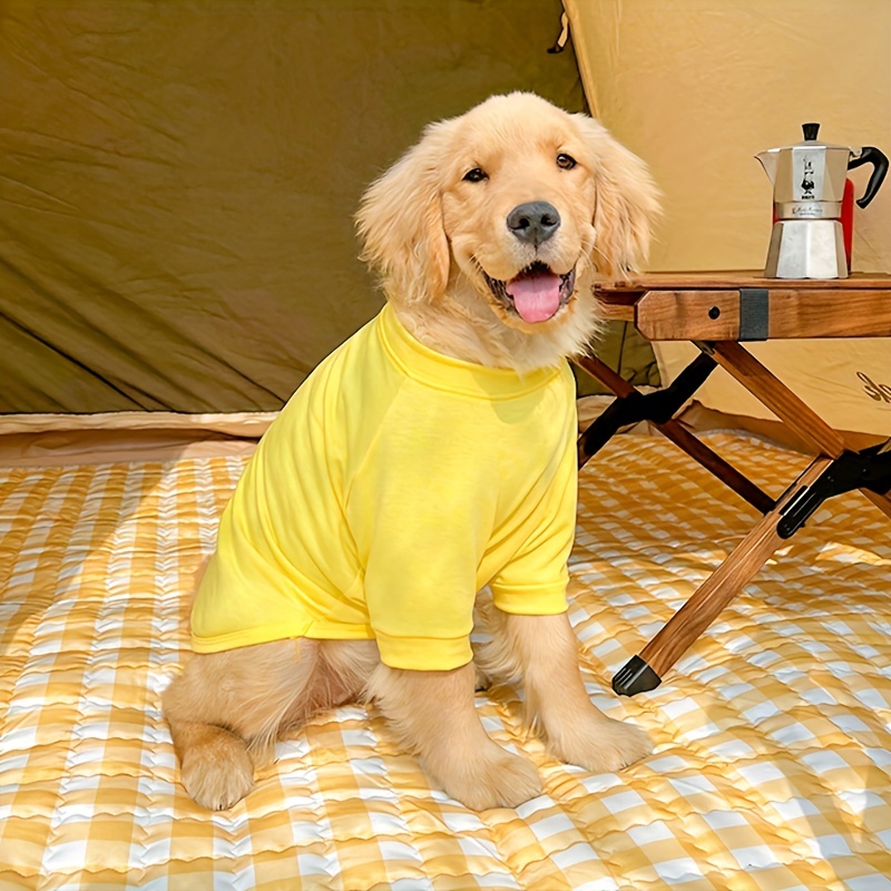 Clothes Golden Retriever, Dog Clothes Golden Retriever