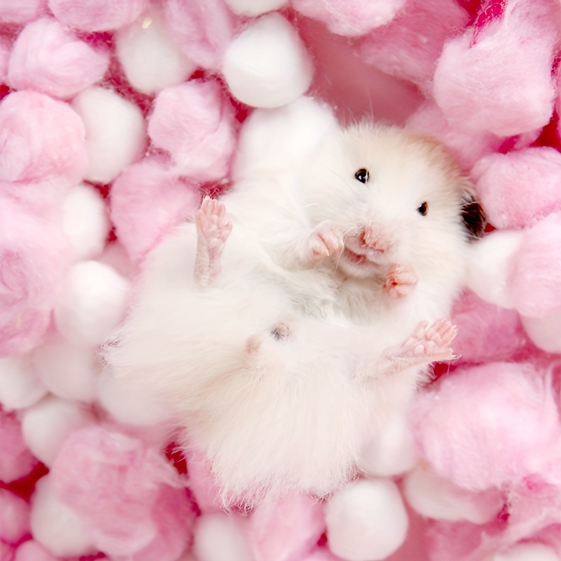 Colored Hamster Cotton Balls Hamster Small Pet Warm Winter - Temu