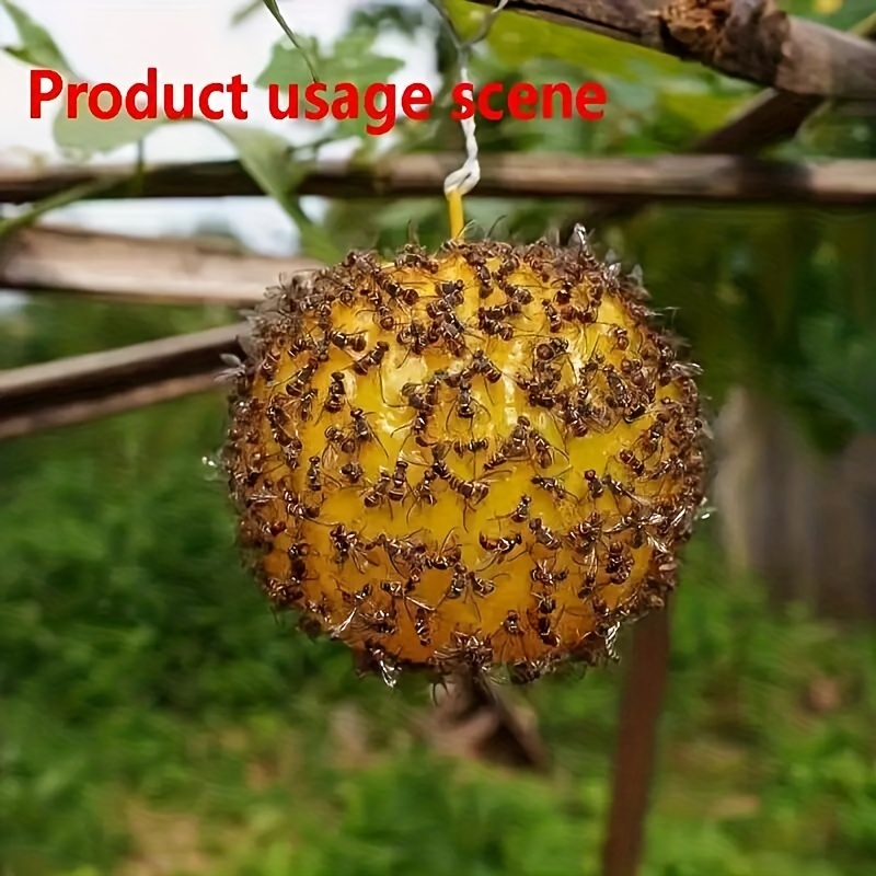 Sticky Insect Ball Fly Trap Mosquito Wasp Flying Insect - Temu