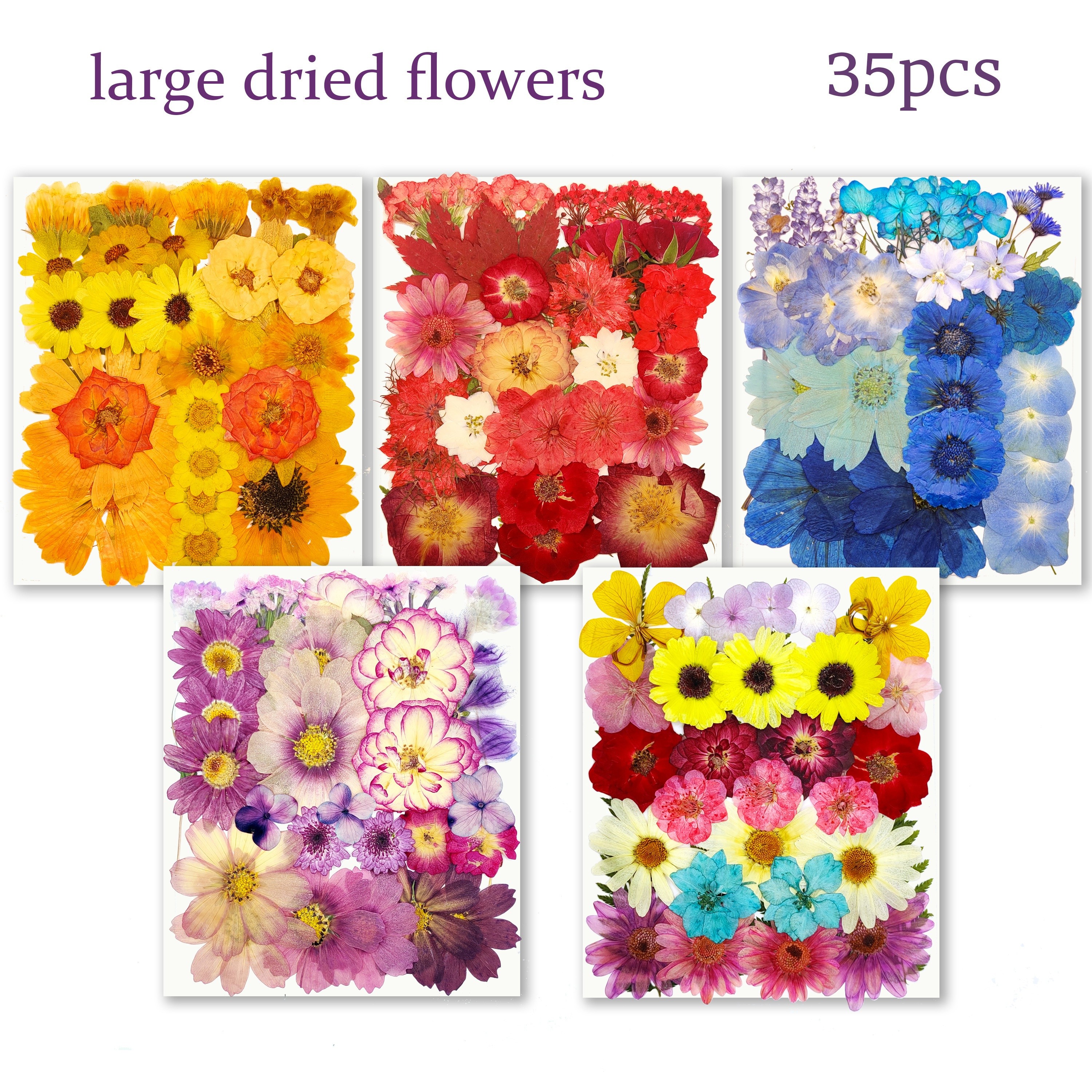 

35pcs Large Dried Pressed Flowers For Resin, Large Real Natural Dry Leaves For Diy Craft, Molds Candle Scrapbooking