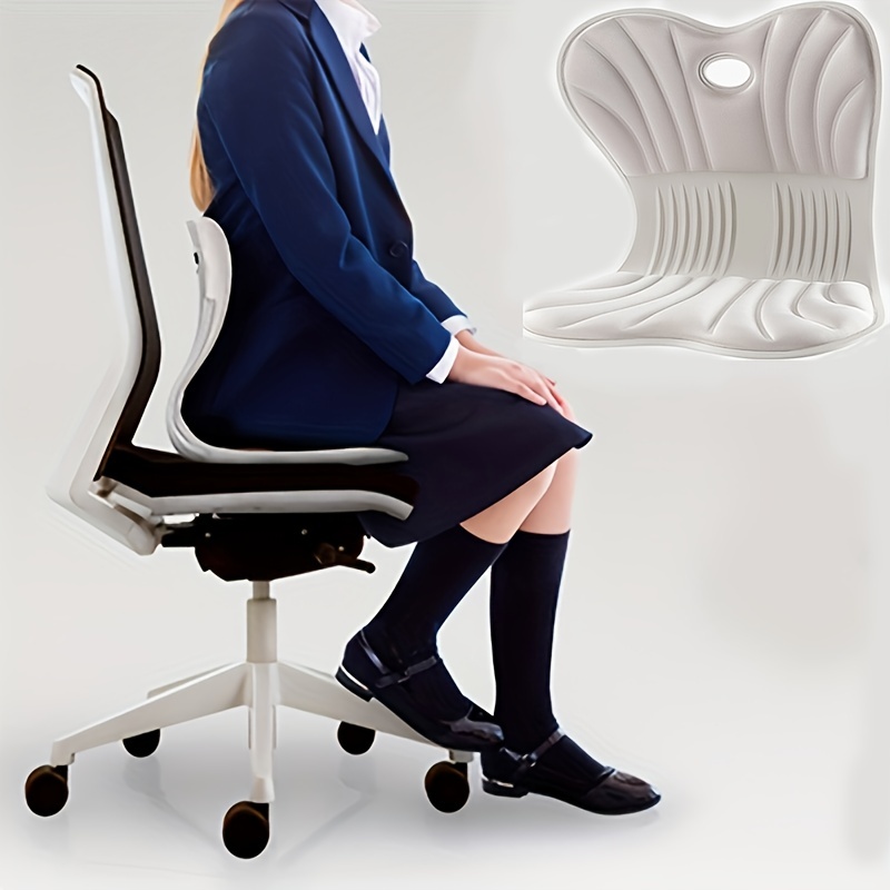 Compact Ergonomic Chair Back Support, Lumbar Support For Good