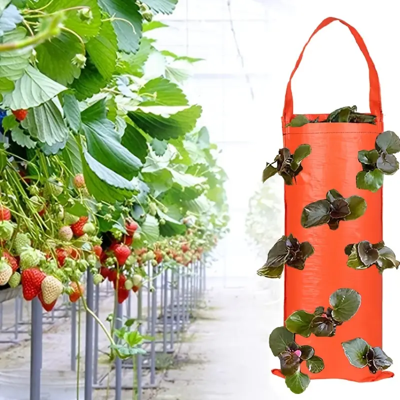 Hanging Plant Bag For Strawberry, Vertical Grow Bag For Vegetables