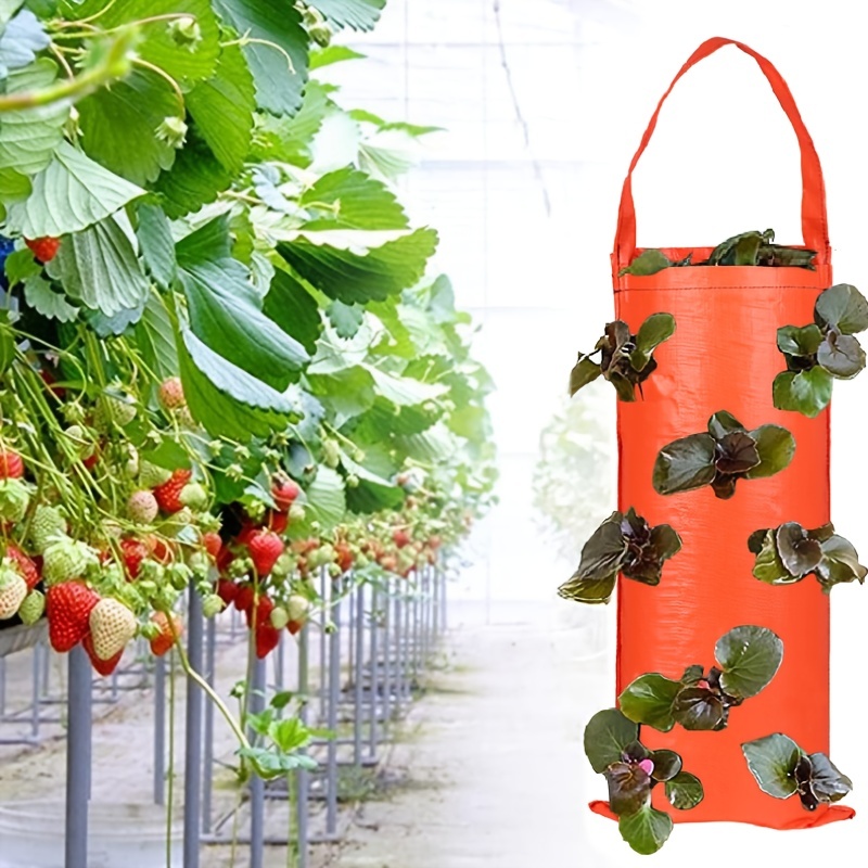 Vertical Grow Bag for Strawberries and Vegetables