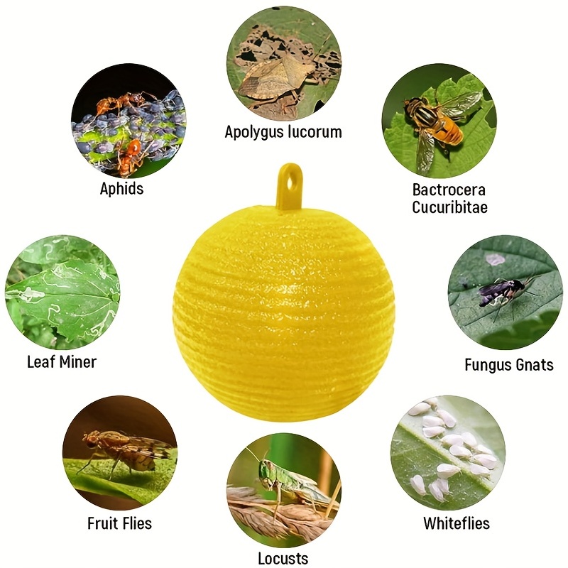 Reusable Hanging Pumpkin Shape Fly Trap Pest Repeller - Temu